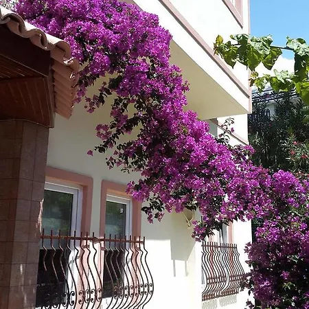 The S Aparts & 酒店